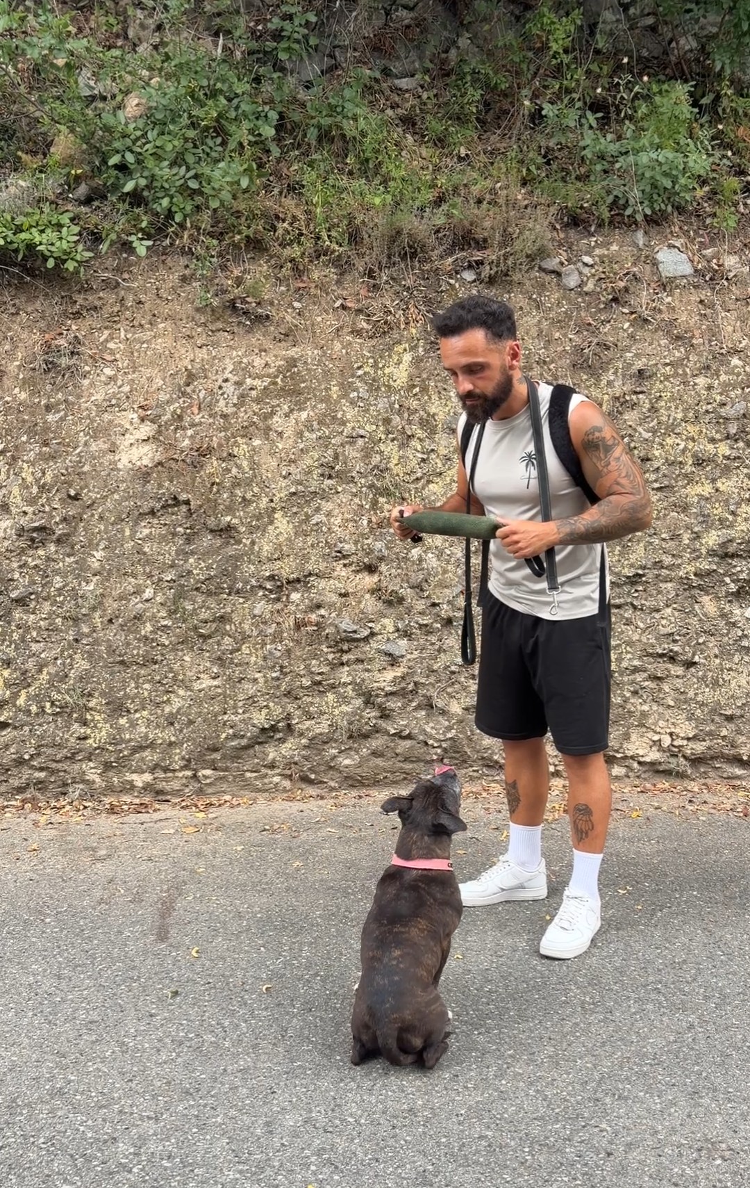 Anthony, éducateur canin, en séance avec un chien