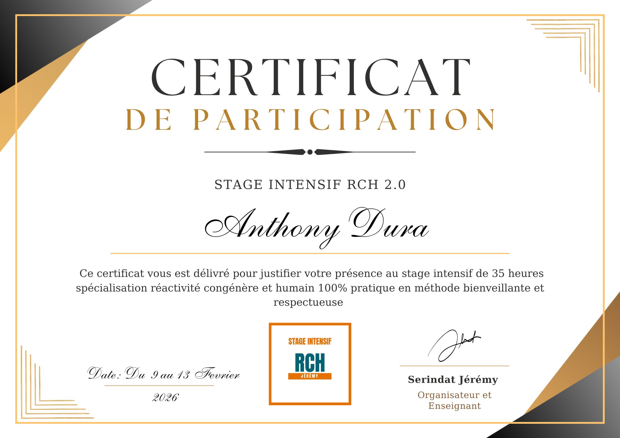 Formation chiens réactifs d'Anthony